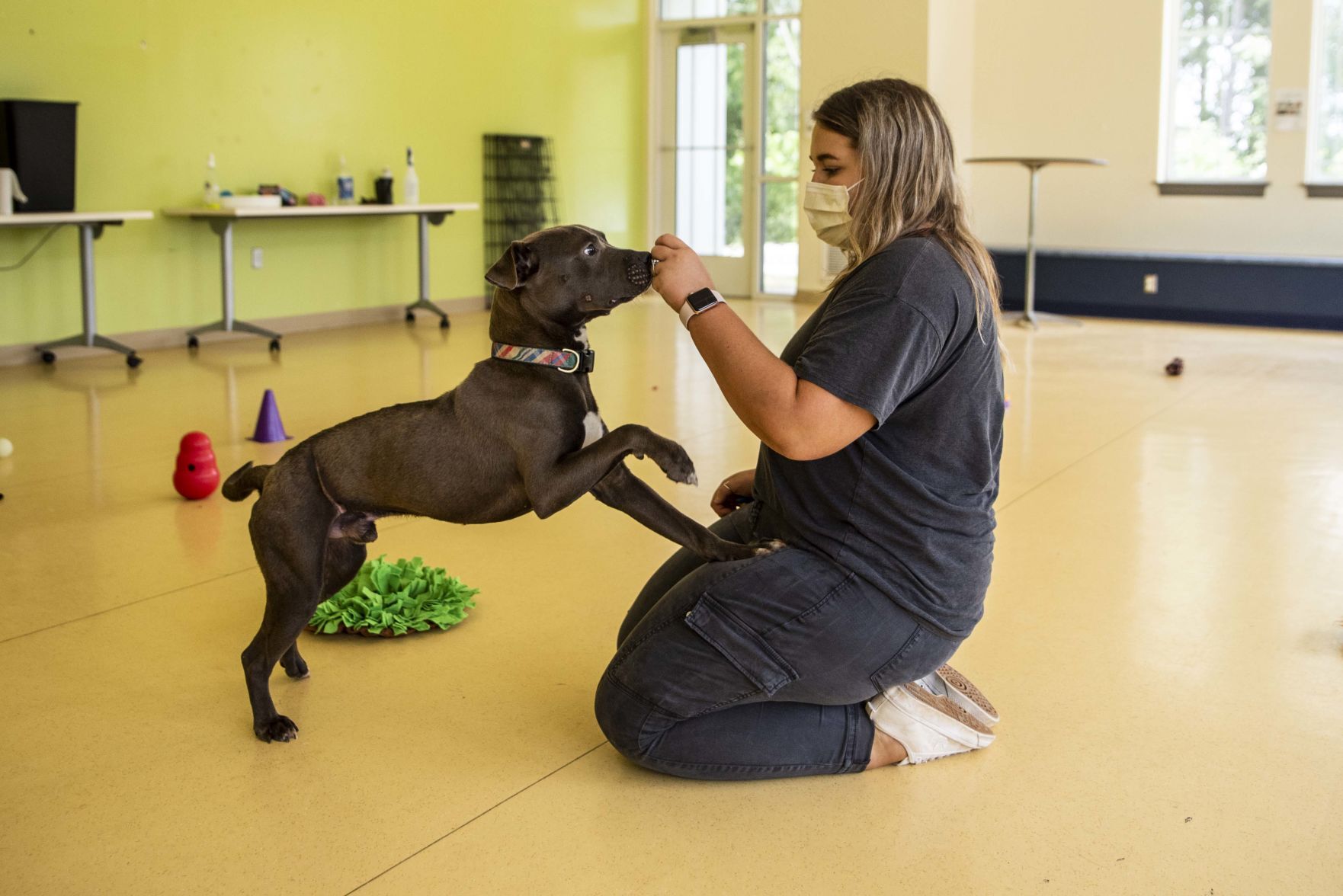 Lynchburg Humane Society